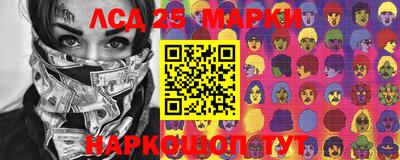 шишки Кандалакша