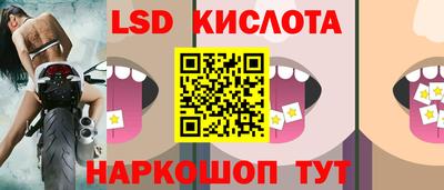 МДПВ Камышлов
