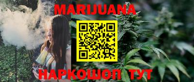 шишки Кандалакша