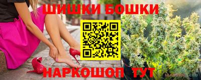 МДПВ Камышлов