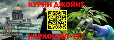 шишки Кандалакша