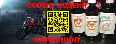 МДПВ Камышлов
